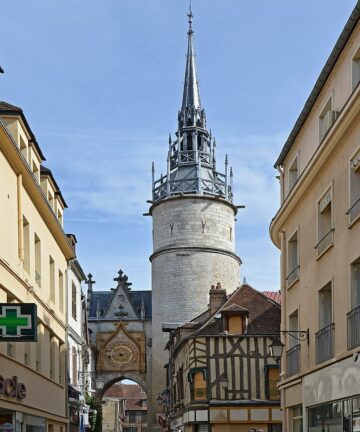 VISITE DE GROUPE A AUXERRE